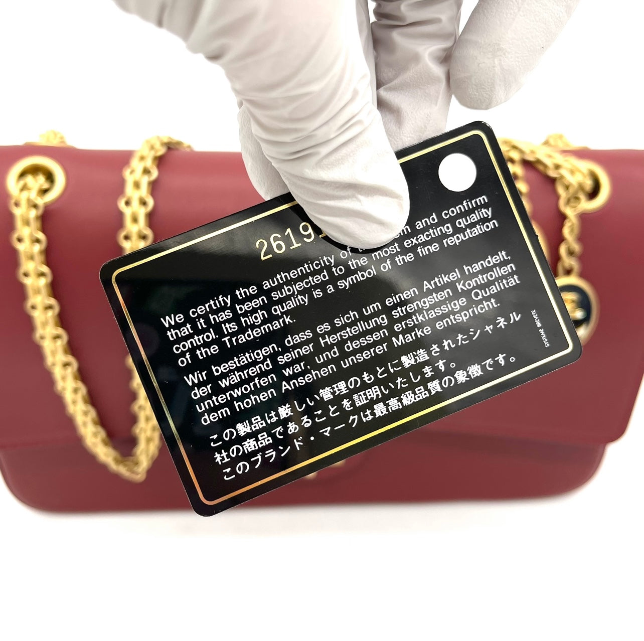 Limited Edition Chanel Maroon Leather Medallion Nude Reissue 2.55 Classic 225 Flap Bag 2019