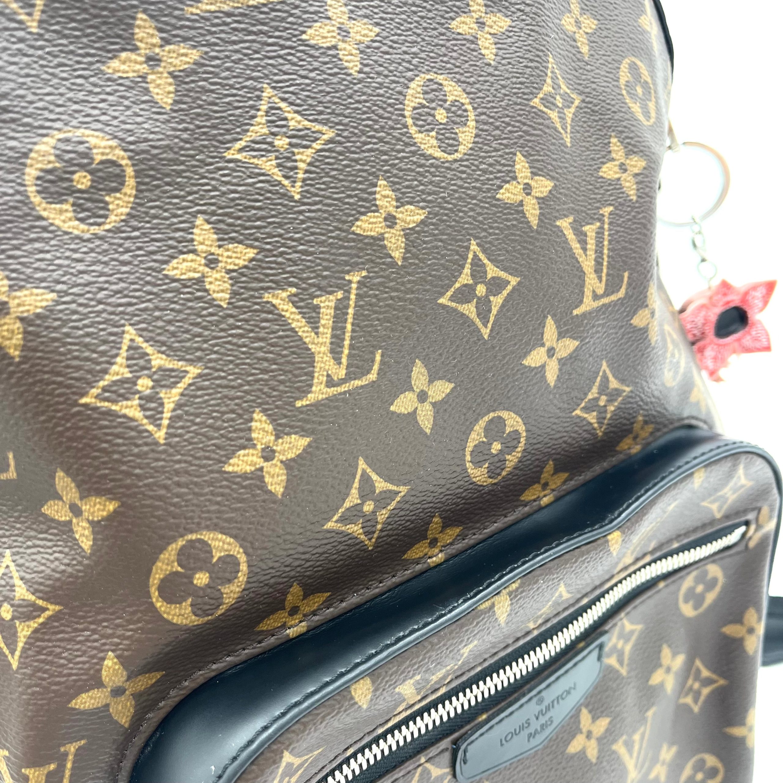 LOUIS VUITTON Monogram Macassar Josh Backpack