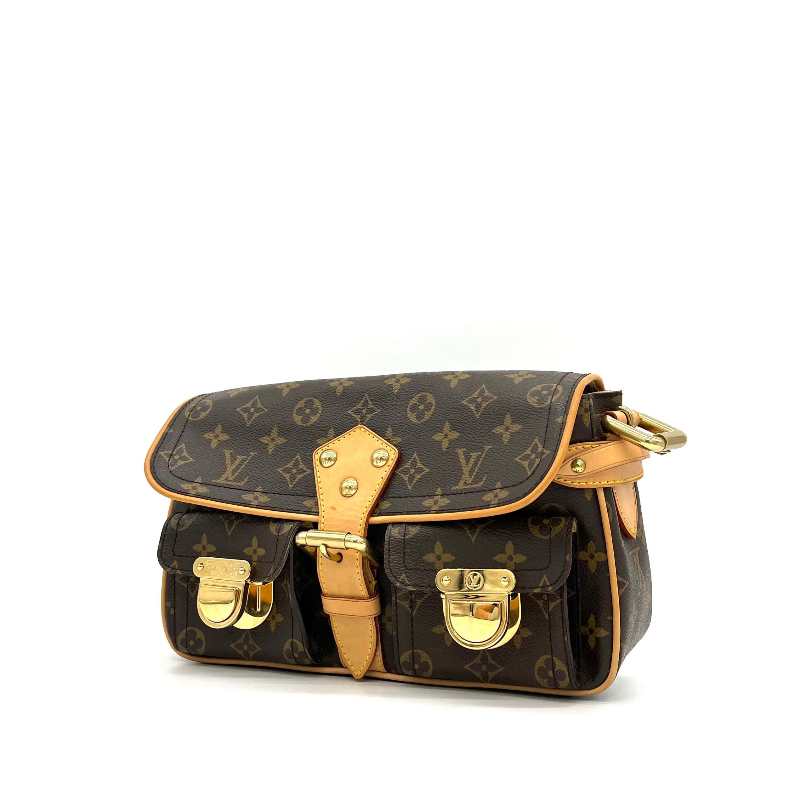 Louis Vuitton Monogram Hudson PM