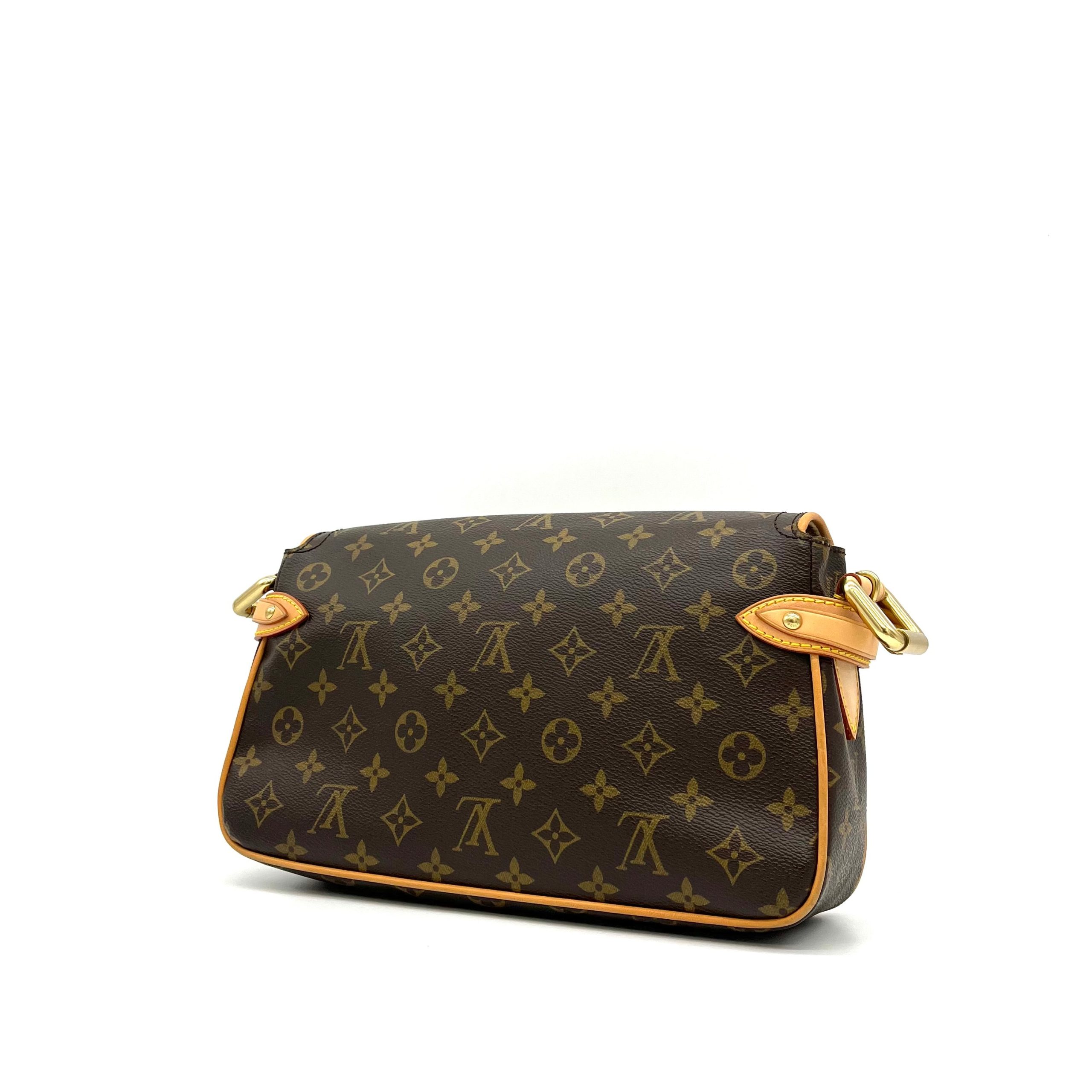 Louis Vuitton Monogram Hudson PM