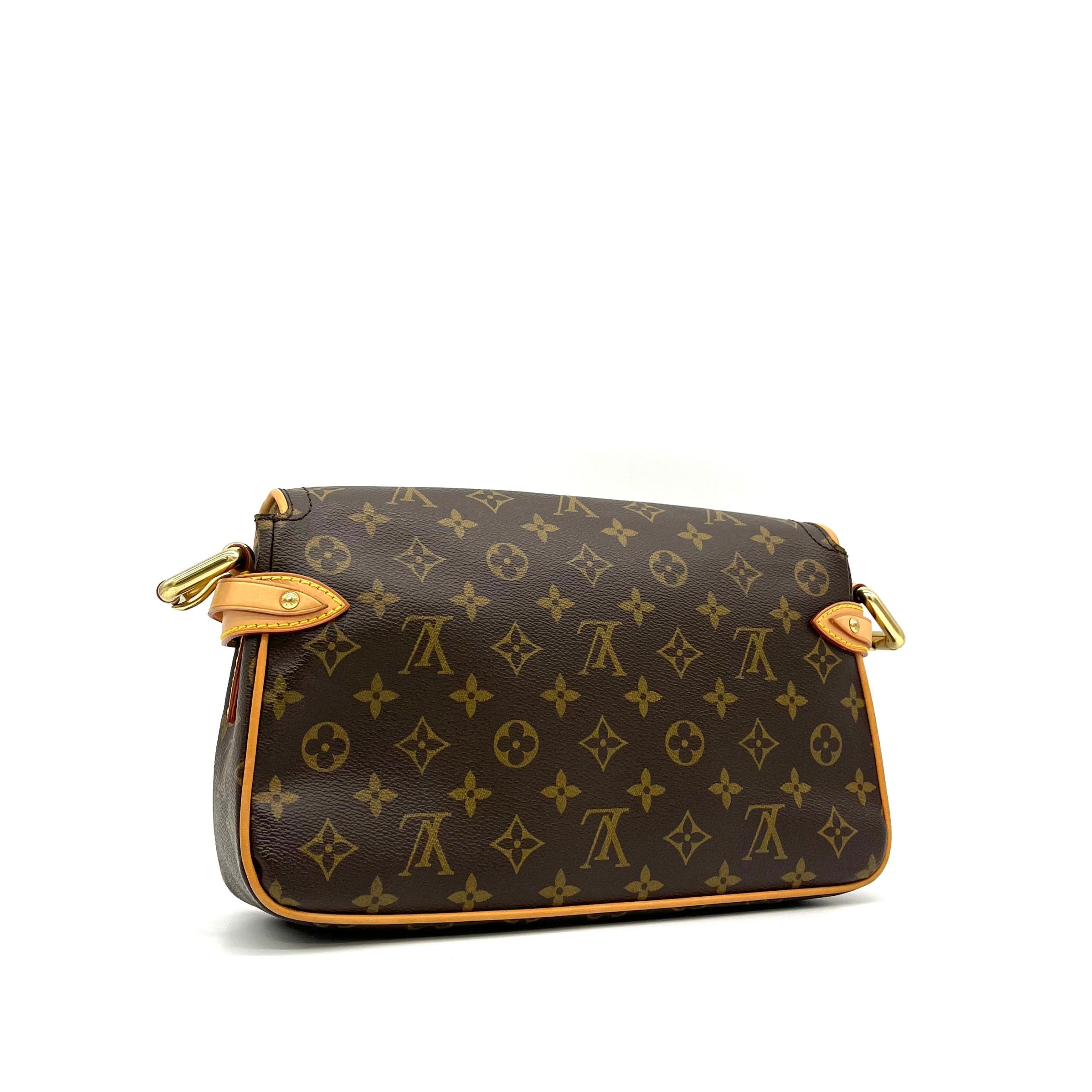 Louis Vuitton Monogram Hudson PM