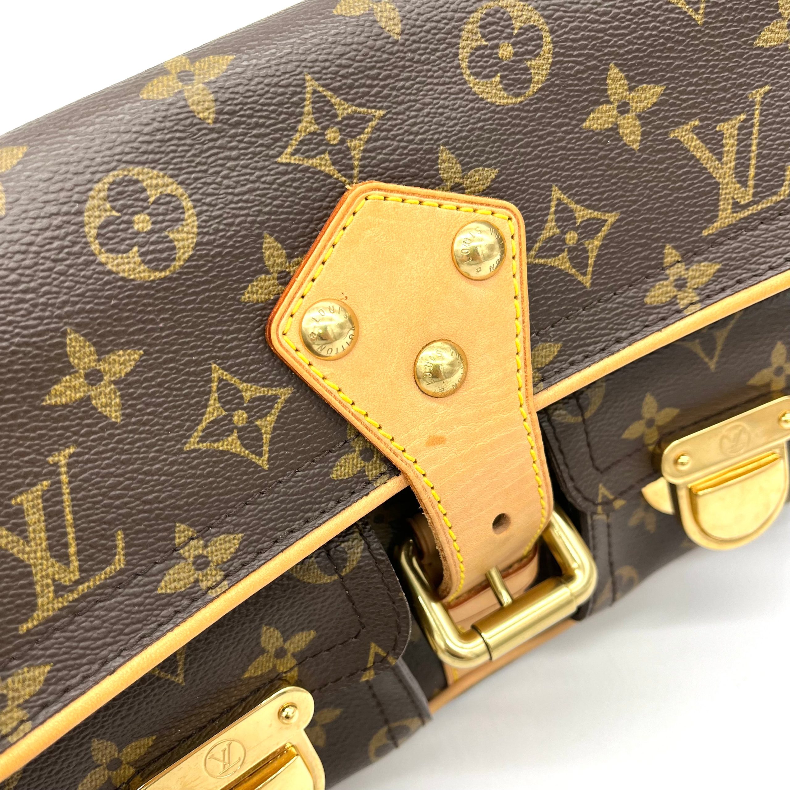 Louis Vuitton Monogram Hudson PM