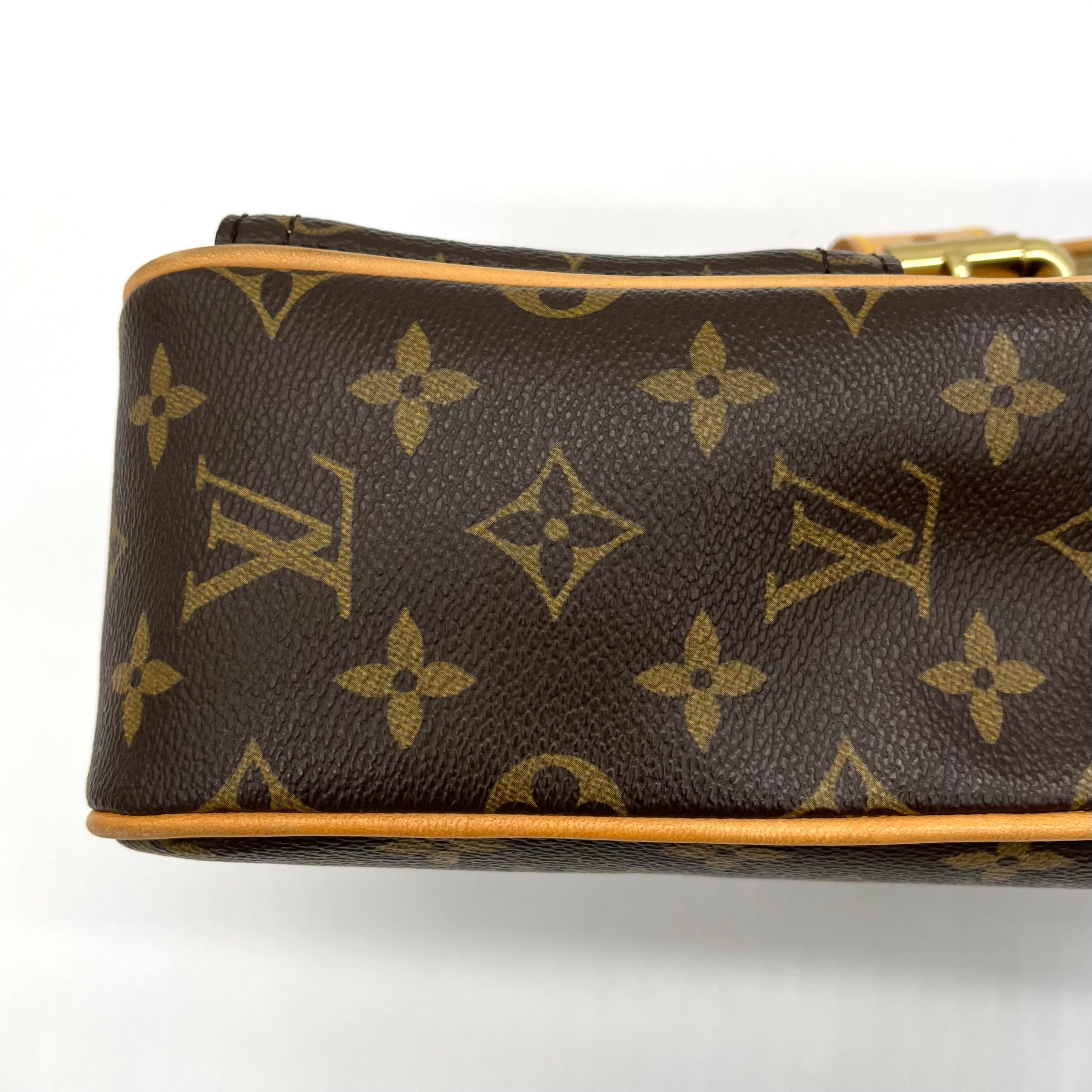 Louis Vuitton Monogram Hudson PM