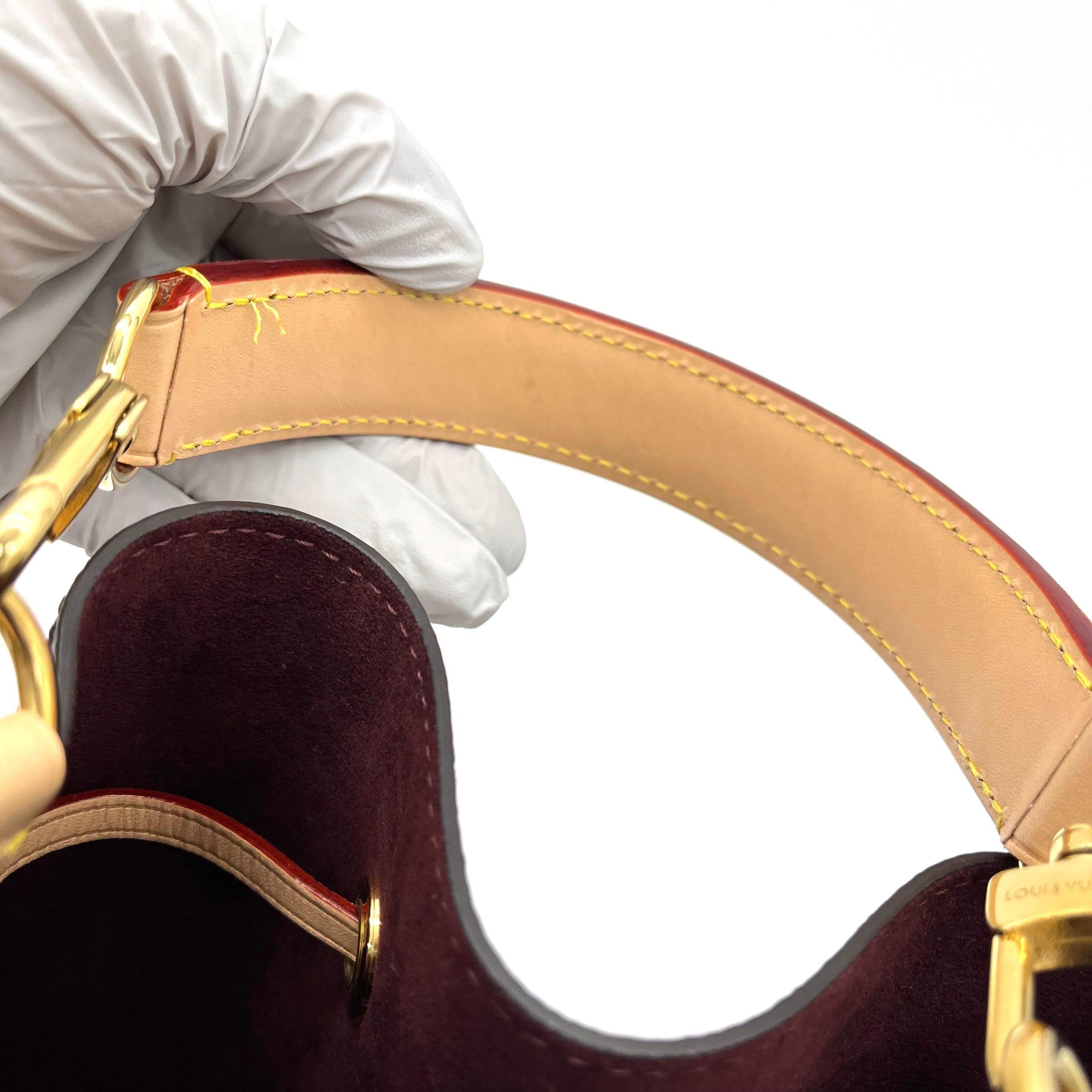 Louis Vuitton  Monogram Neonoe BB