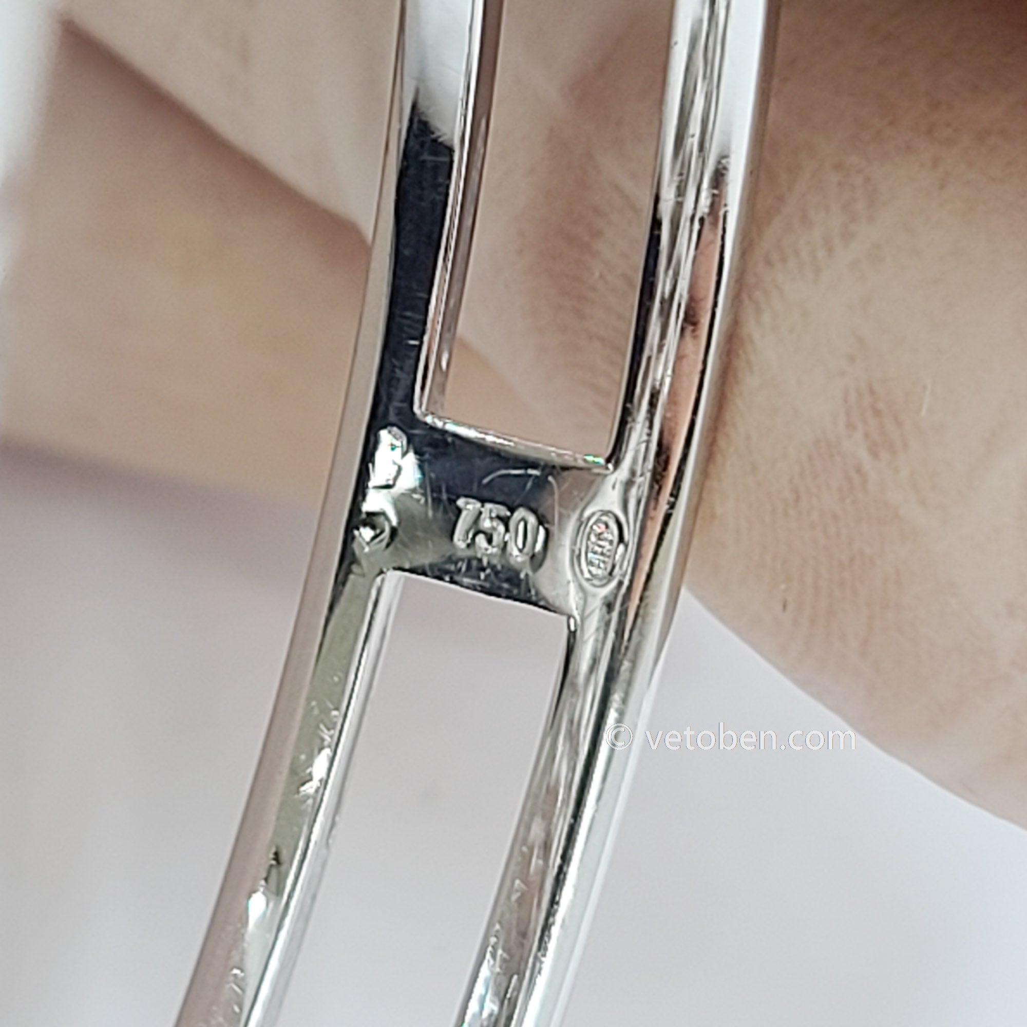 Patek Philippe Neptune White Gold Diamond Ladies Watch 4881