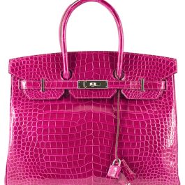 Hermes Birkin Bag 35cm Scheherazade Porosus Crocodile Silver Hardware